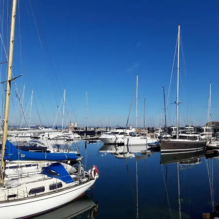 Strandmoewe Laboe
