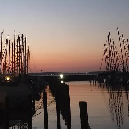 Strandmoewe * Laboe
