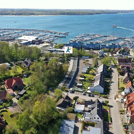 Strandmoewe